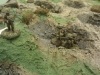 Durham Wargames Club - WW1