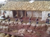 Rorkes Drift